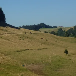 Bild von Bergwirtschaft Hinter-Brandberg