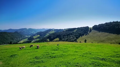 Bild von Bergwirtschaft Matzendörfer Stierenberg