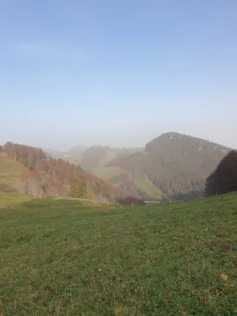 Bild von Bergwirtschaft Hinter-Brandberg