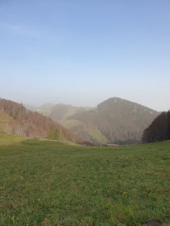 Bild von Bergwirtschaft Hinter-Brandberg