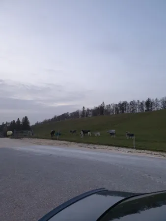 Bild von Bergwirtschaft Hinter-Brandberg