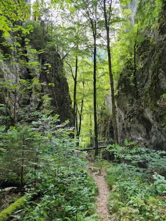 Bild von Bergwirtschaft Hinter-Brandberg