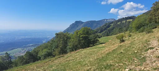 Bild von Bergwirtschaft Hofbergli