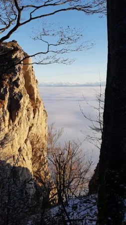 Bild von Bergwirtschaft Hofbergli