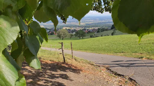 Bild von Restaurant Glutzenberg