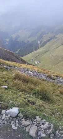 Obere Walalp Därstetten