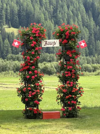 Bild von Restaurant Baschi