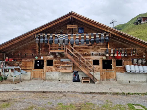 Bild von Bergbahnen Meiringen-Hasliberg