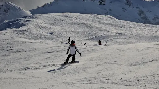 Bild von Bergbahnen Meiringen-Hasliberg