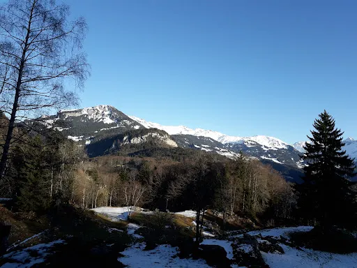 Bild von Hotel Bellevue