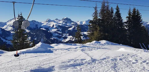 Bild von Berghaus Wispile