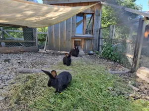 Tierlihof Bed and Breakfast & Private Dining