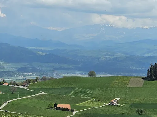Bild von Bütschelegg