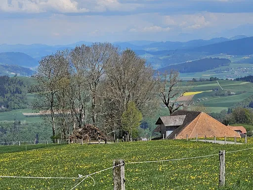 Bild von Bütschelegg