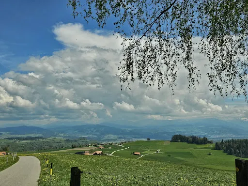 Bild von Bütschelegg