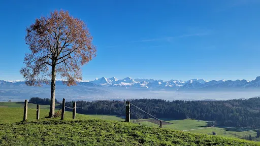 Bild von Bütschelegg