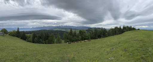 Bild von Bütschelegg