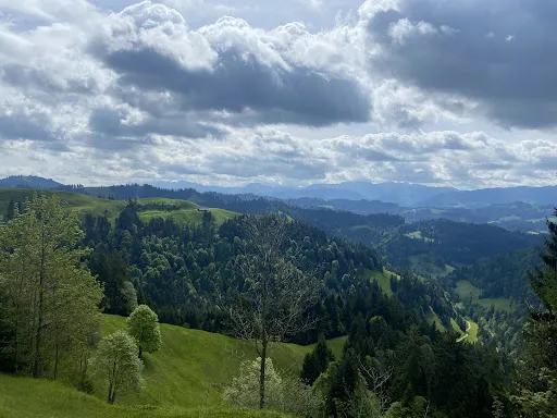 Bild von Lushütte Alpwirtschaft