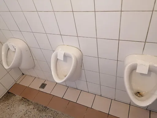 Bild von Luzija GmbH