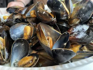 Moules-Edy