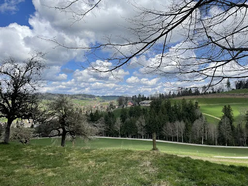 Bild von Schloss Trachselwald