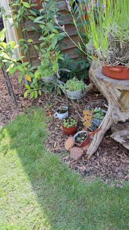 Bild von Lydia's Garten