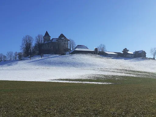 Bild von Schloss Trachselwald