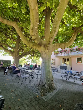 Bild von Restaurant Freudenberg, Stettfurt