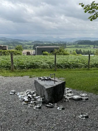 Bild von Waldschenke