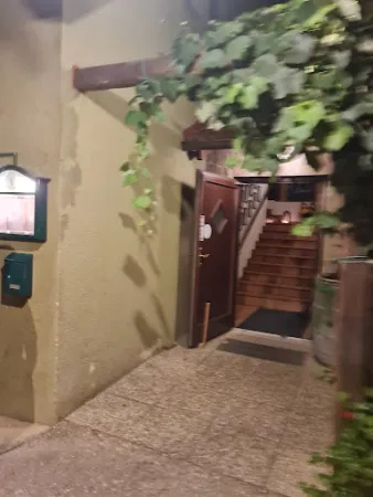 Bild von Hoffmann´s WeinZEIT