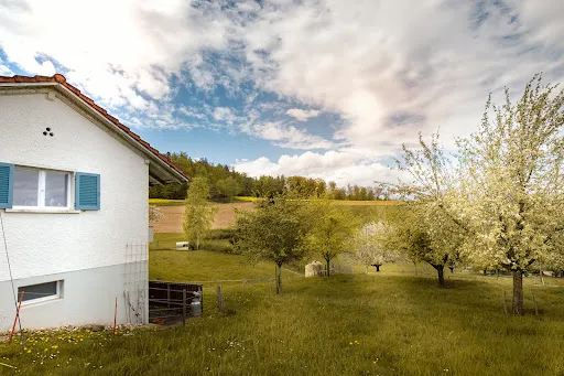 Bild von Milchhüsli