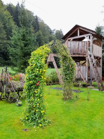 Bild von Moosersagi