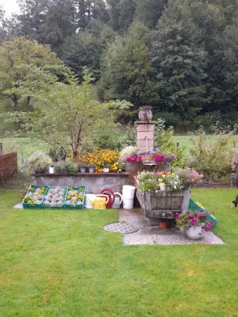 Bild von Moosersagi