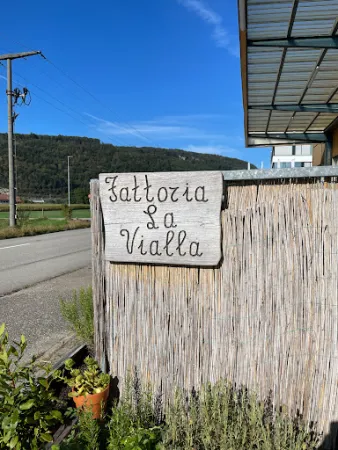 Bild von Fattoria La Vialla - Speisekammer Rothrist