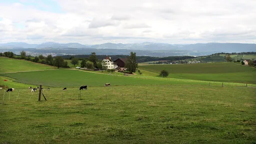 Bild von Restaurant Dornhof