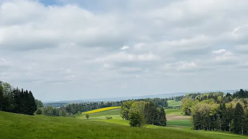 Bild von Wirtschaft Niesenberg