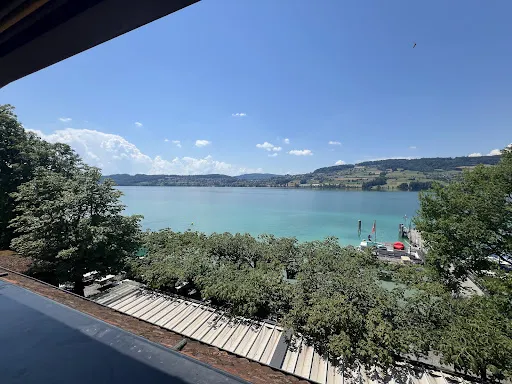 Bild von Seerose Meisterschwanden Resort & Spa