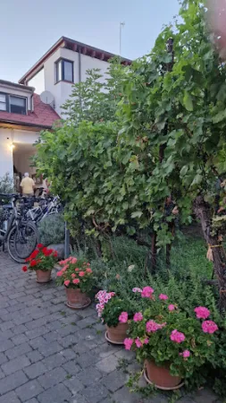Bild von Schankhaus im Schwalbenhof Guttmann