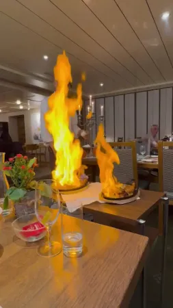 Bild von Bären Mägenwil