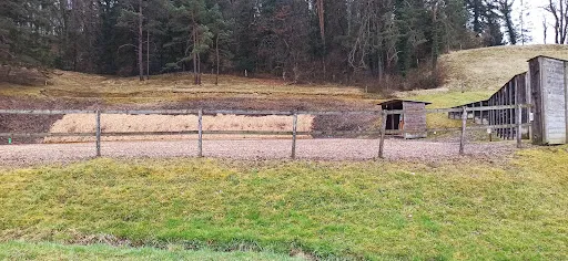 Bild von Waldhaus Gehren