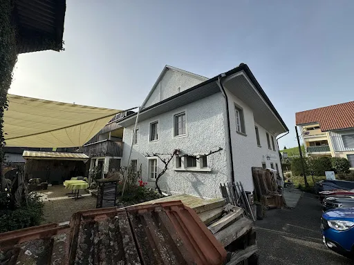 Bild von Bären