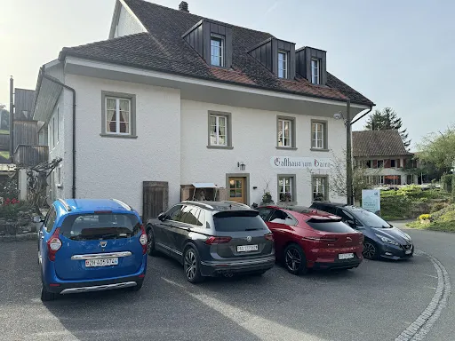 Bild von Bären