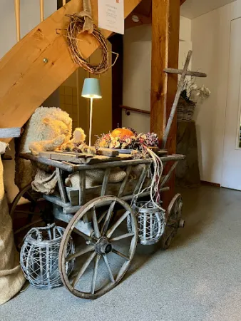 Bild von Bären
