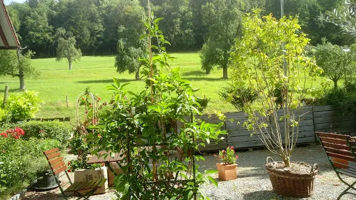 Bild von Landgasthof Frohsinn | Restaurant | Gartenterrasse | Grill