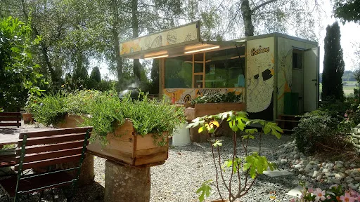 Bild von Landgasthof Frohsinn | Restaurant | Gartenterrasse | Grill