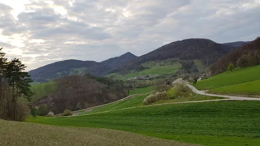 Bild von Hotel Traube Garni