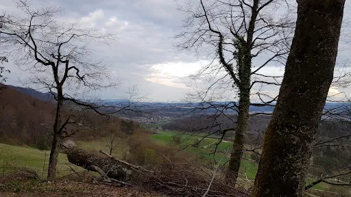 Bild von Hotel Traube Garni