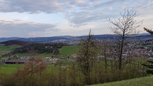 Bild von Hotel Traube Garni