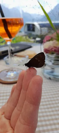 Bild von Bergrestaurant Prümaran Prui