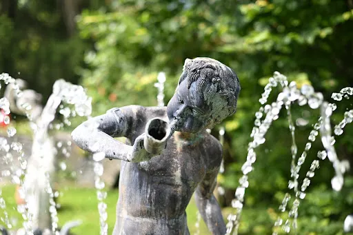 Bild von Schweizerhof Flims - Romantik Hotel & SPA